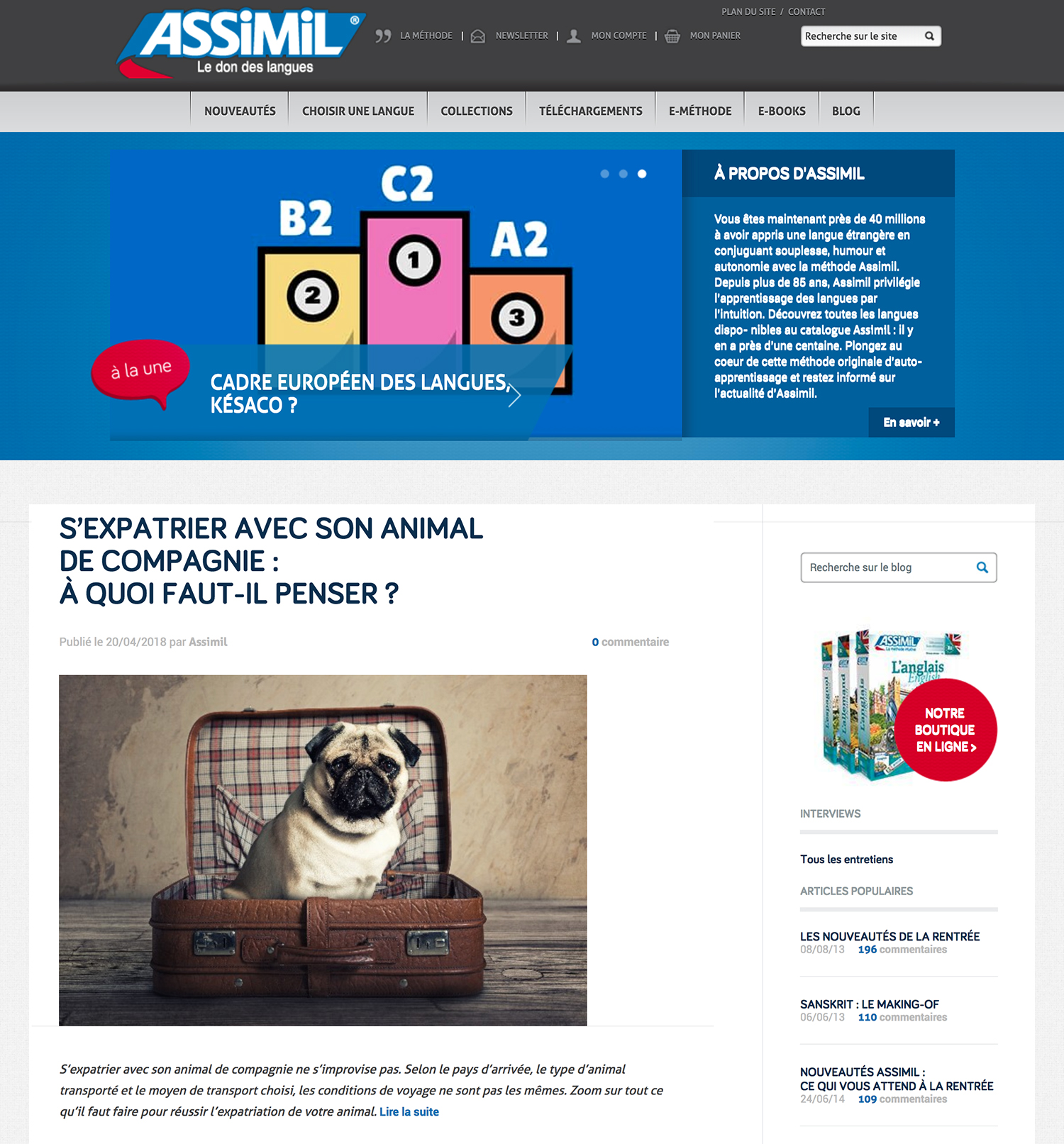 Creation du blog assimil, nouveau webdesign